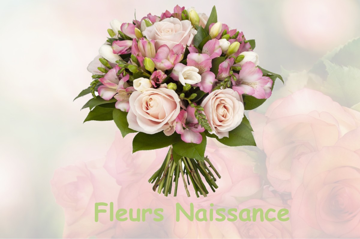 fleurs naissance BUSSAC-FORET