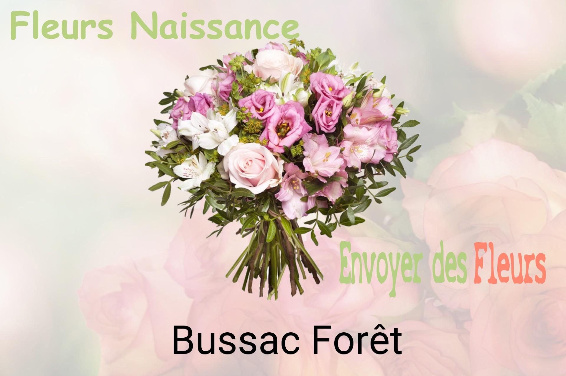 Bouquet de fleurs de naissance livré à Bussac-Forêt